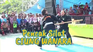 ATRAKSI PENCAK SILAT CIUNG WANARA SDN SUKAWERA TAHUN 2023