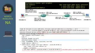 Neighbor Discovery Protocol
