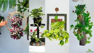 4 Creative Plant Decoration Ideas You Need to Try | Plant Decoration Tips and Tricks//GREEN PLANTS