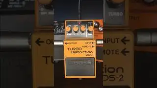 Boss DS-2. no talking, just distortion! 