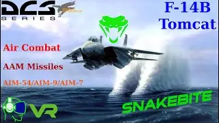 ✈ DCS | 🥽 VR | F-14B Tomcat 😾| Dogfight 🚀Missile🚀 Air Combat | Battle'Saitek X52 Pro  Oculus Rift S