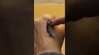 इस एक तरीके से रखे eye brow को ब्लैक। #harjeetkirasoihomehacks