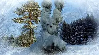 Зимние пейзажи