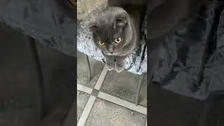 Когда очень хочется поговорить 