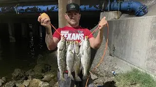 Speckled trout fishing in Galveston (super secret spot)