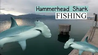 Triple HAMMERHEAD Shark Caught Back to Back // Fishing Kaneohe Bay