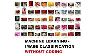 Image Classification without Coding