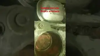 25 мая 2024 г.