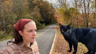 A Day Of Fall In The Mountains