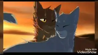 Коты воители:синяя звезда и жёлудь!!