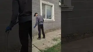 Борьба с осами