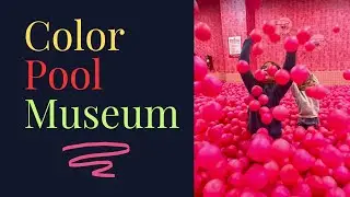 Things to Do in Seoul with Kids - Color Pool Museum