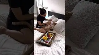Spa day for VIP client 🥹 #shortvideo #catsofyoutube #spaday #funnycats