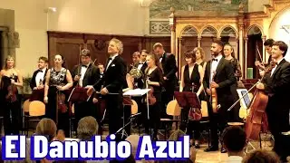 The Blue Danube Waltz Op. 314 - Johann Strauss - Horst Sohm and Orchestra