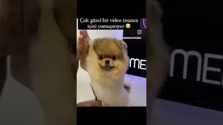 #respect