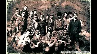 Армейская песня под гитару "Они сражались за Родину"