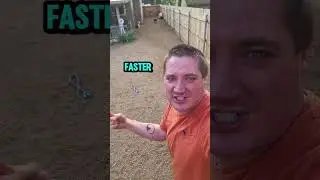 .songcuya faster than a turtle 