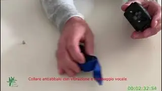 Antiabbaio, collare con vibrazione e messaggio vocale