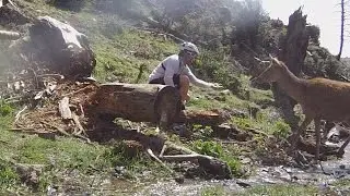 Animal’s instinct doesn’t lie