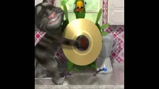 Talking Pierre the Parrot