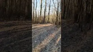 Omg I'm lost in forest
