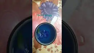 Tra hoa mỗi ngày