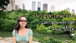 Нетуристический центральный парк в Нью-Йорке: Пикник с подругами в скрытом уголке.