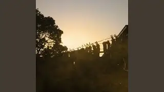 Always Late