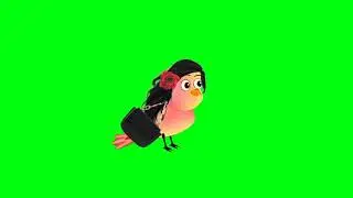 No Copyright tuni chidiya 46 bird cartoon green screen Bird Green Screen green screen cartoon