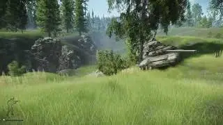 Escape from Tarkov  6 тайников в Лесу