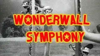 Wonderwall Symphony
