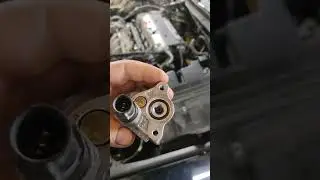 Honda Accord 7 мотор К20 . Замена сеточки клапана vtec и уплотнительного кольца.