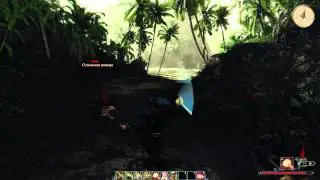Risen 2   Dark Waters прохождение Часть 46]