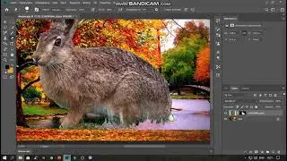 П/Р. Створення колажу у Photoshop.