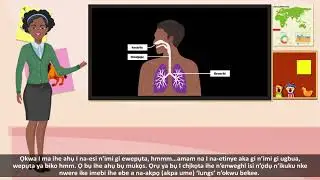 Learn Igbo - Respiratory System (I ku-ume) #kowaayanigbo #explaininigbo