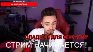 СЛАДКОЕ ДЛЯ СОБАК!?!? | Нарезка со стрима Эдисона