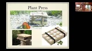 Plants Speak Wednesday, June 26, 2024