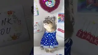 #cat #fup
