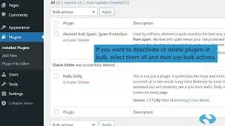 How to deactivate and delete a plugin in WordPress
