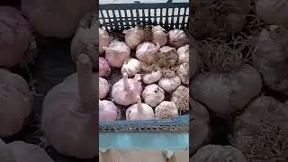 К посадке готова.