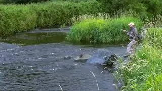 DAERA Inland Fisheries Bush Day Tickets