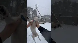 Ты моя целая вселенная 