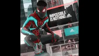 The Adidas Suit