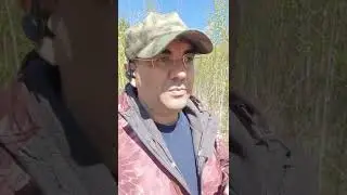 Все пропало! Почем доллары?!