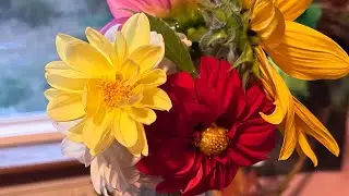 Flowers from the garden 🌻🌸🌼