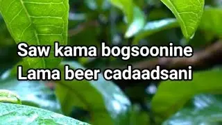 Maxamed Mooge Liibaan | Heesta; Jacayl biri ma goyso | Lyrics