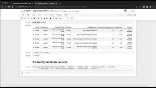 Finding Duplicate Records with Python