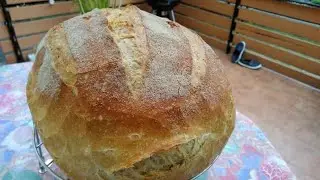 Köstliches Brot ohne Kneten mit nur 3 Tassen.