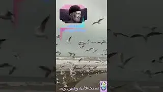 🕌تعددت الأسماء و الدين واحد🕌تسمية الشيء باسمه 🇲🇦 فضيلة الشيخ الدكتور فريد الأنصاري رحمه الله