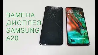 Раборка и замена дисплея Samsung A20 display replacement A205